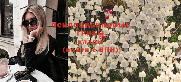 наркотики Белокуриха