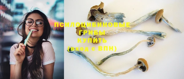 стаф Белоозёрский