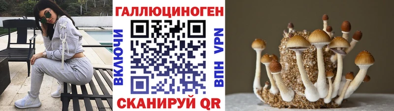 Псилоцибиновые грибы Psilocybe  Ермолино 